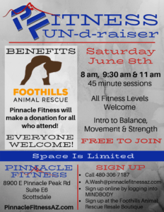 Foothills Animal Rescue fundraiser